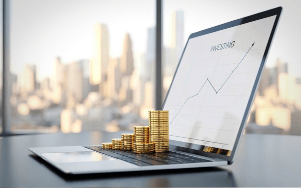 Wykres ROI ze strony internetowej pokazujący zwrot inwestycji w ciągu 12 miesięcy